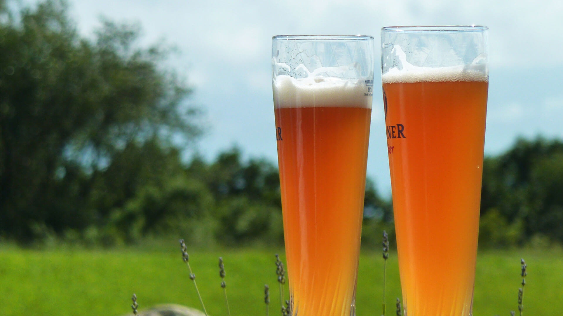 Picture brewing water treatment